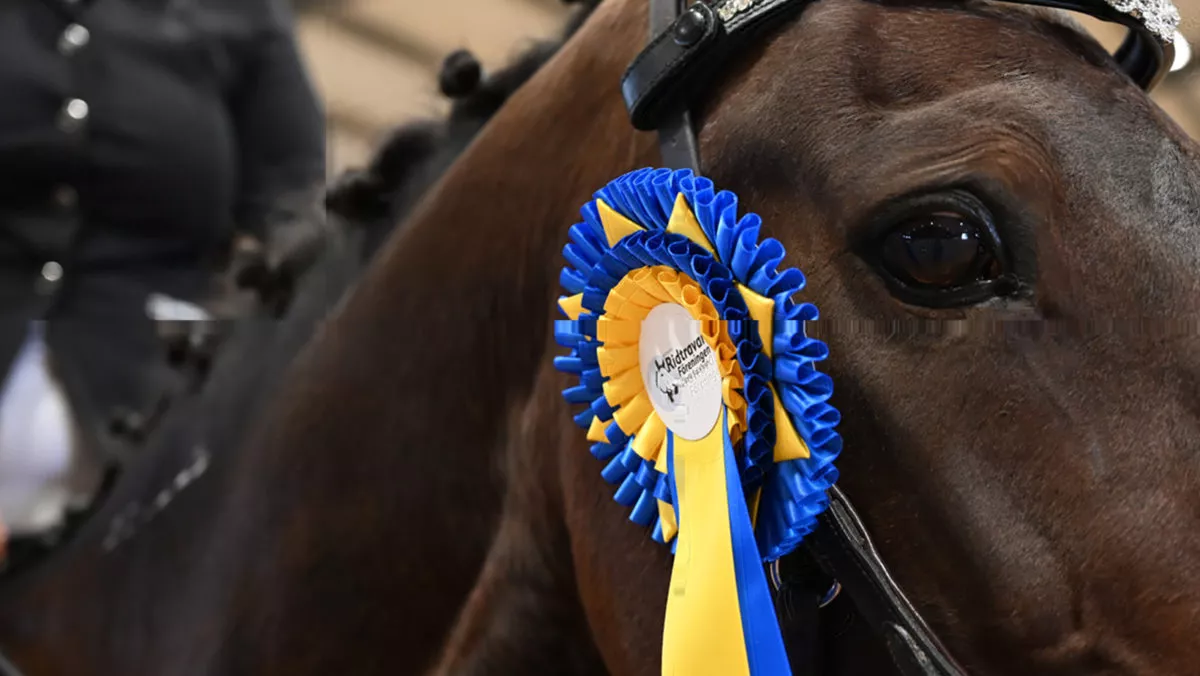 Image of horse with award