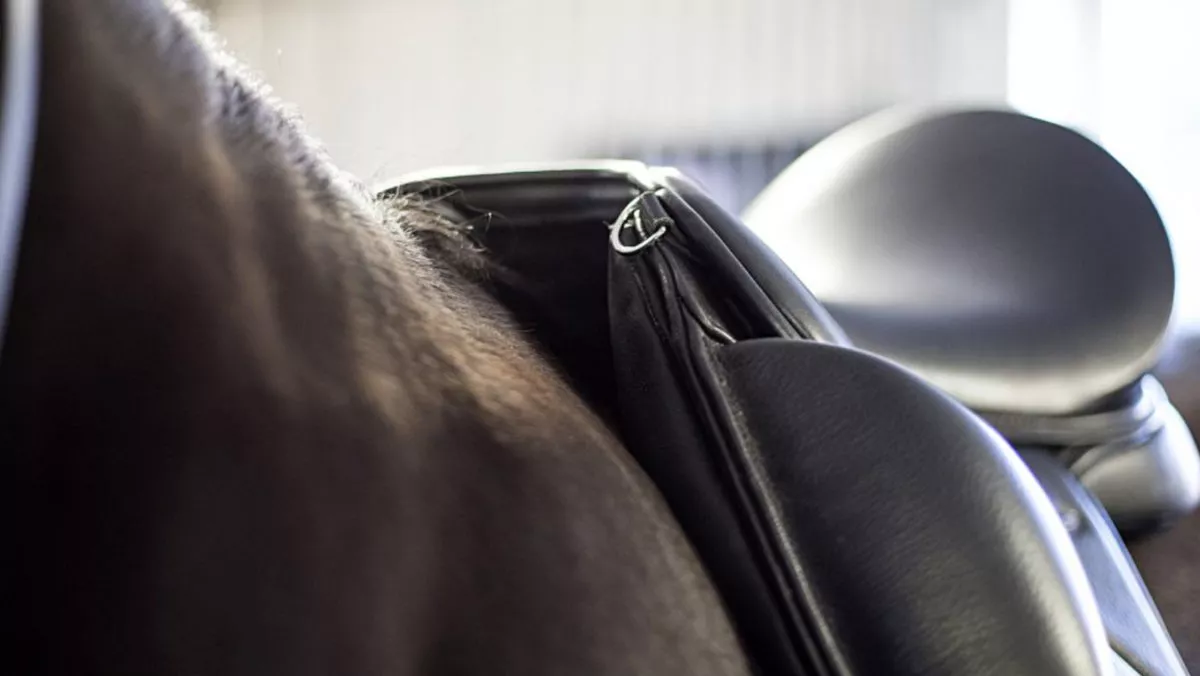 Image of horse saddle