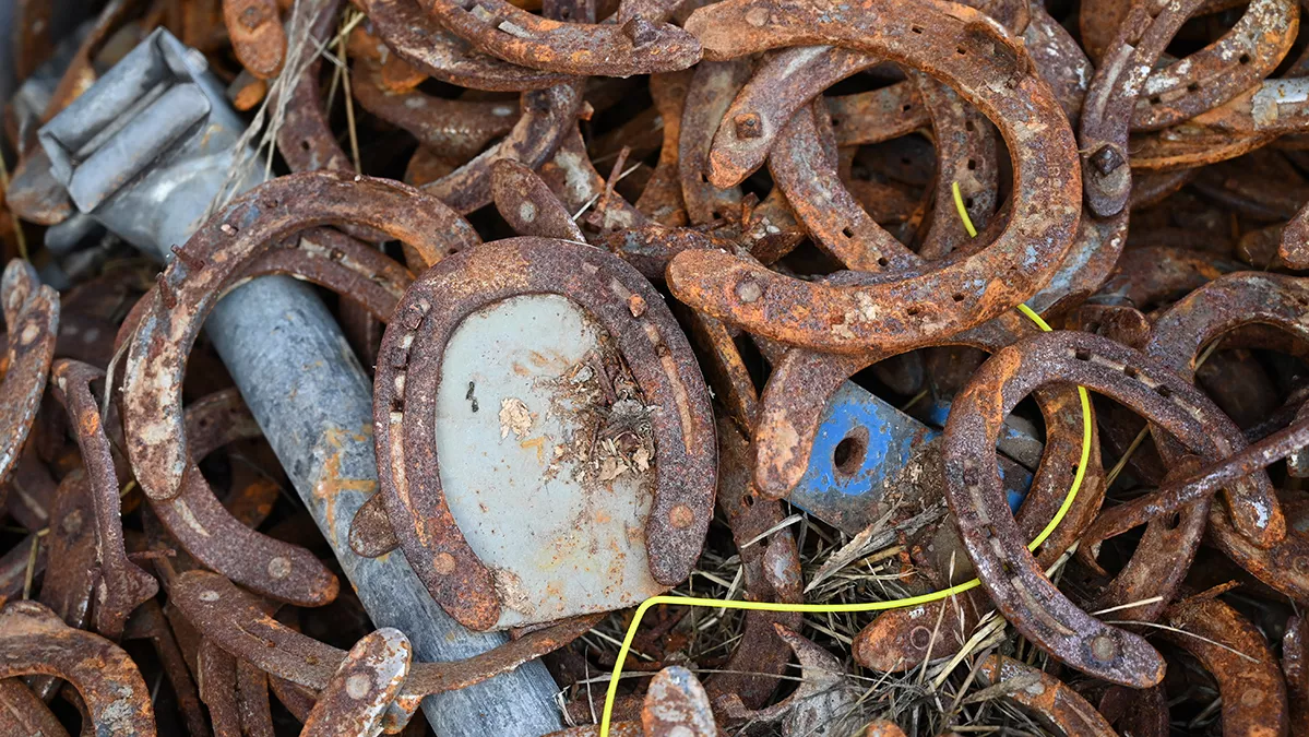 Image of rusty horseshoes