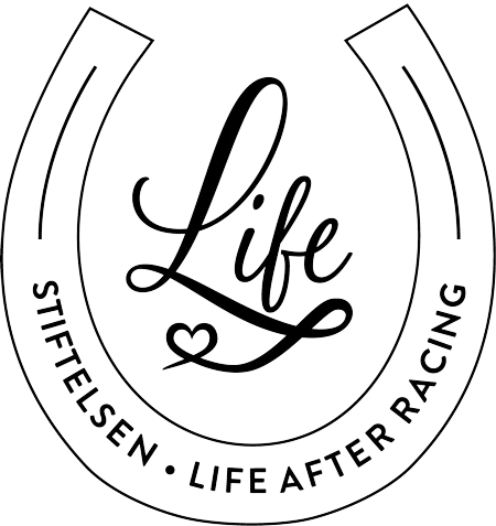 Lage Logo Image